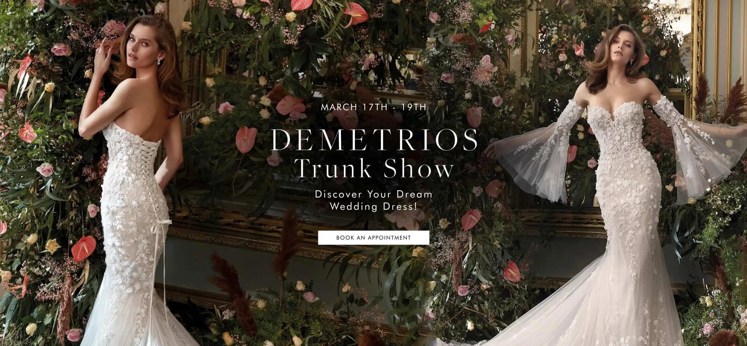 Demetrios Desktop Banner