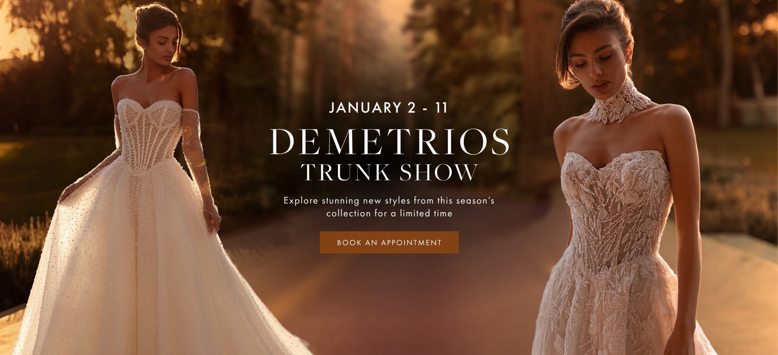 Demetrios Trunk Show Desktop Banner