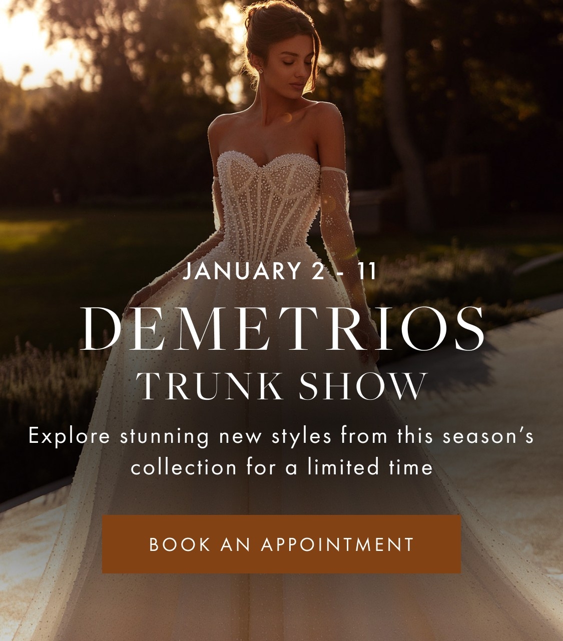 Demetrios Trunk Show Mobile Banner
